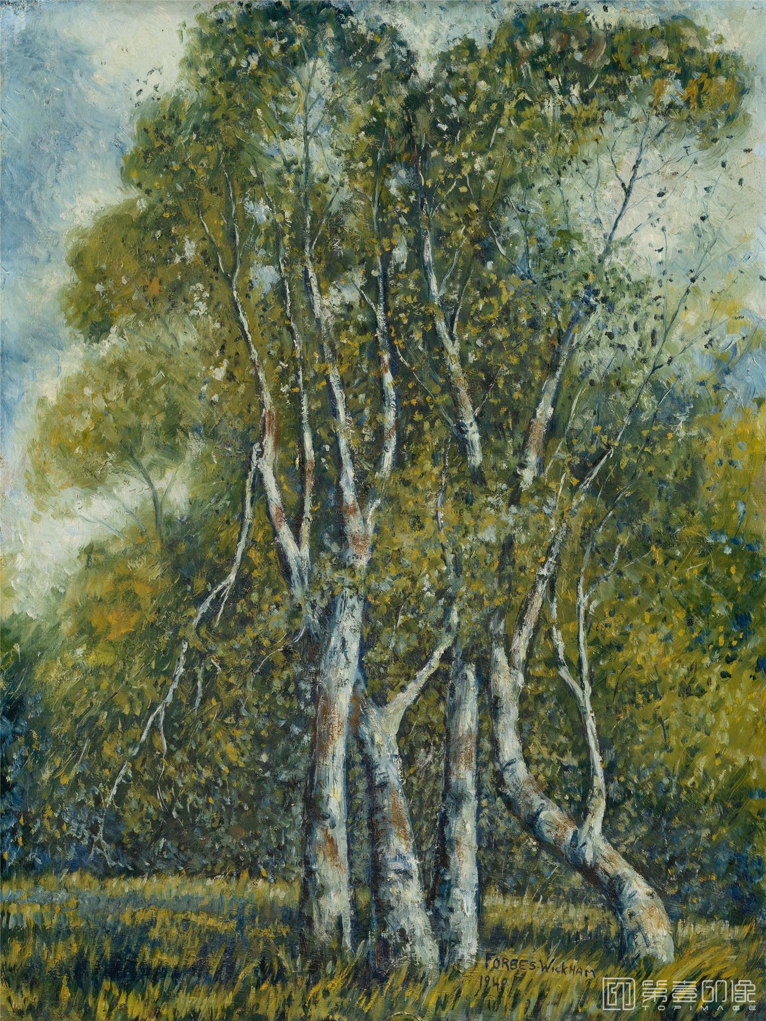 油画-美国阿特金森美术馆-Ola Alice Forbes Wickham-Young Cottonwoods, .tifOla Alice Forbes Wickham - Young Cottonwoods-371